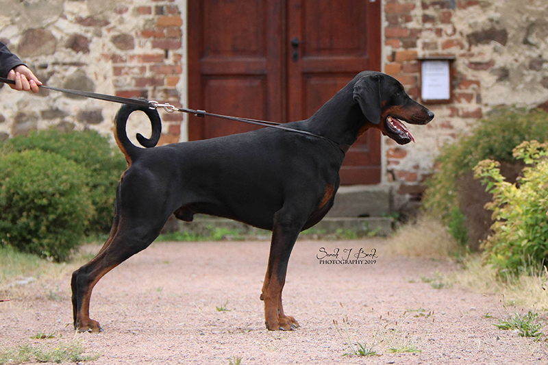 baron2,5y (61)